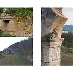 Casa Mare E Ulivi