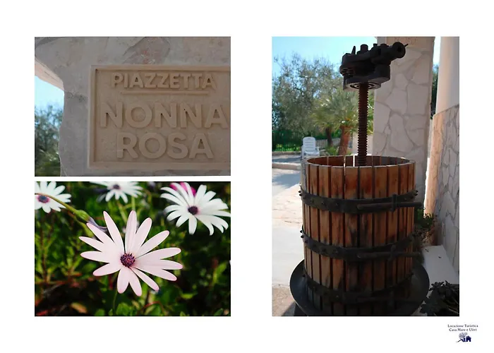 Casa Mare E Ulivi Appartement Mattinata