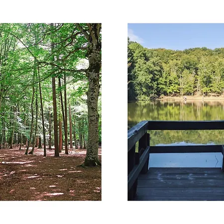 Casa Mare E Ulivi * Mattinata