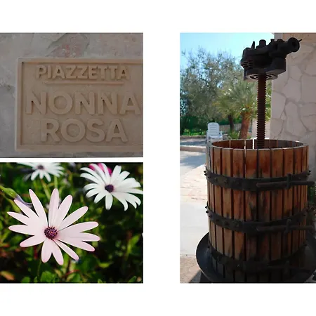 Casa Mare E Ulivi 아파트 마티나타