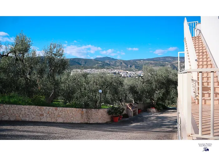 Casa Mare E Ulivi Appartement